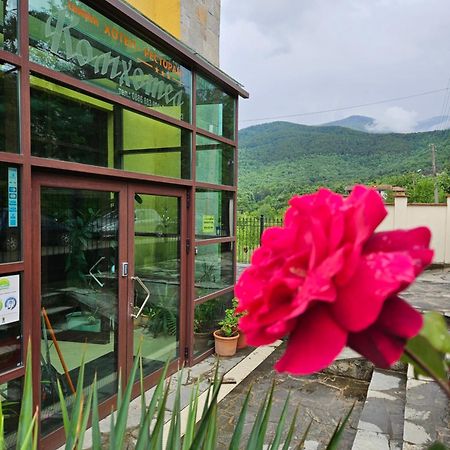 Family Hotel Komhotel بيركوفيتسا المظهر الخارجي الصورة