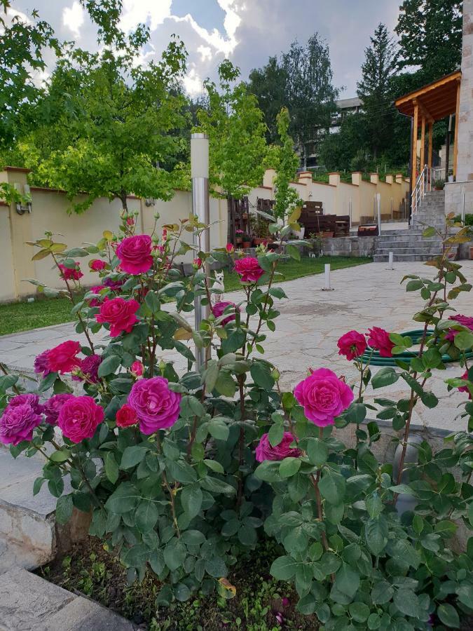 Family Hotel Komhotel بيركوفيتسا المظهر الخارجي الصورة